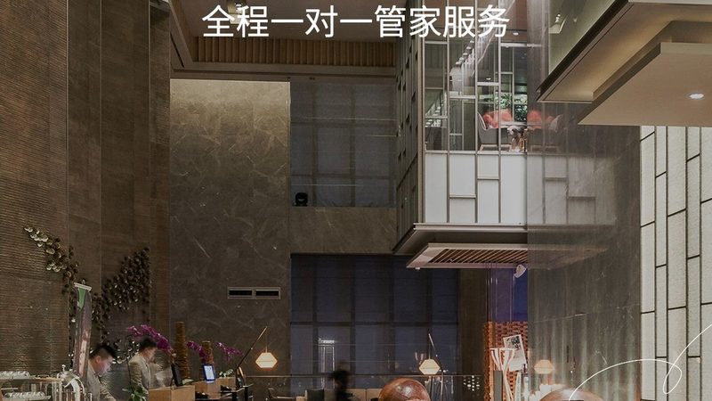 用户需求分析：个性化体验与性价比并重