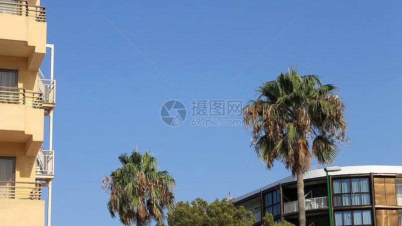 旅游公司加盟品牌对比